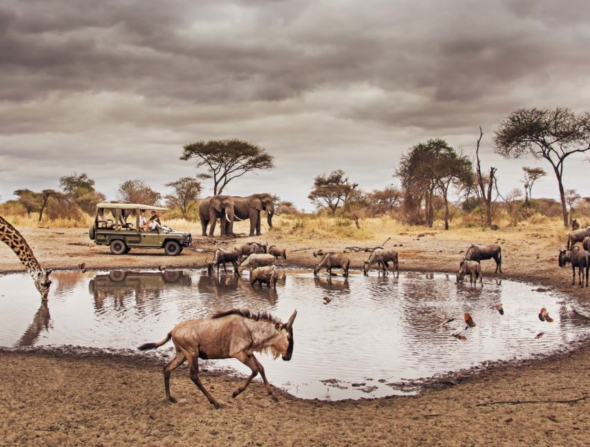 2-Day Camping Safari in Tanzania (Tarangire & Ngorongoro Crater )