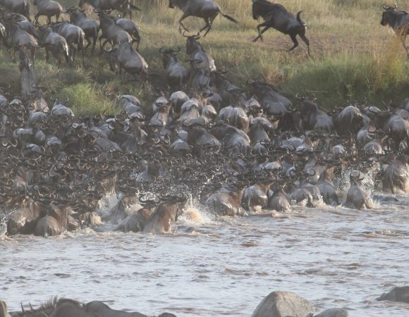 6-Day Tanzania Famous Camping Safari