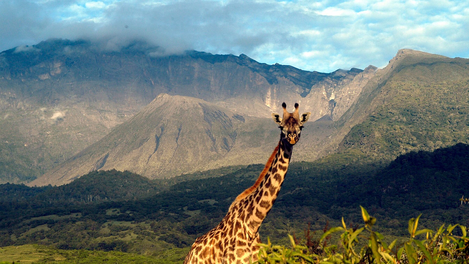 ARUSHA NATIONAL PARK