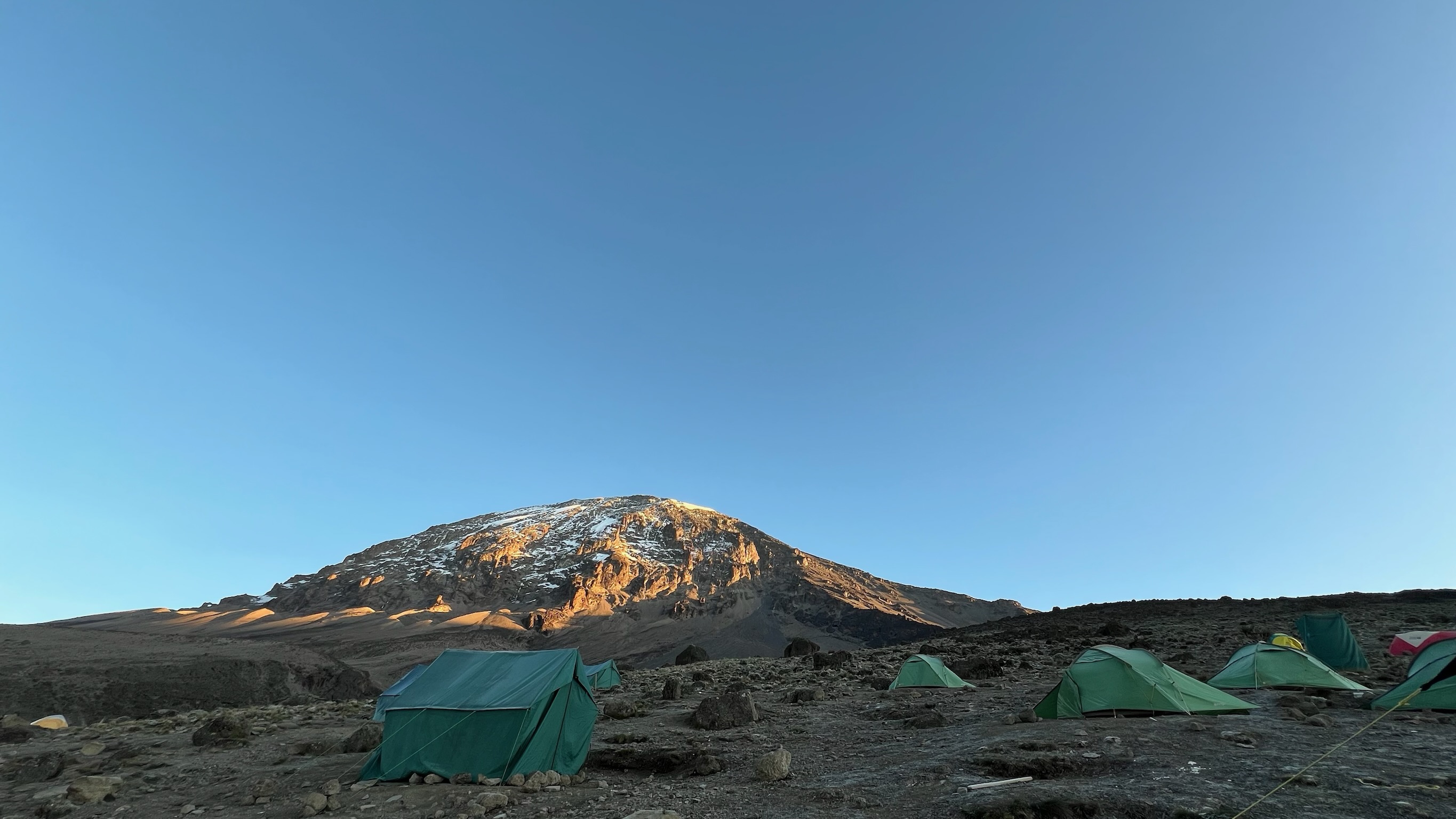 Pamoja kili and safaris