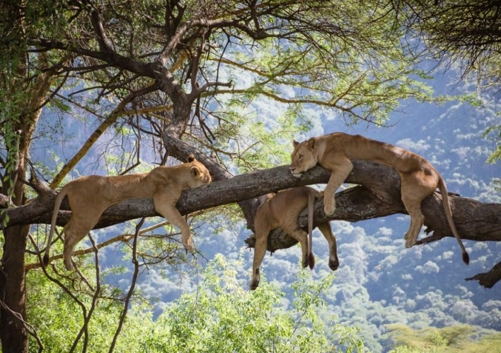 Lake Manyara National Park