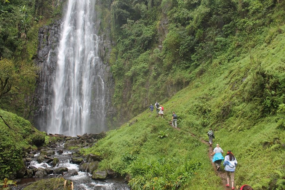 Materuni Coffee plantation & Waterfall: Day Trip