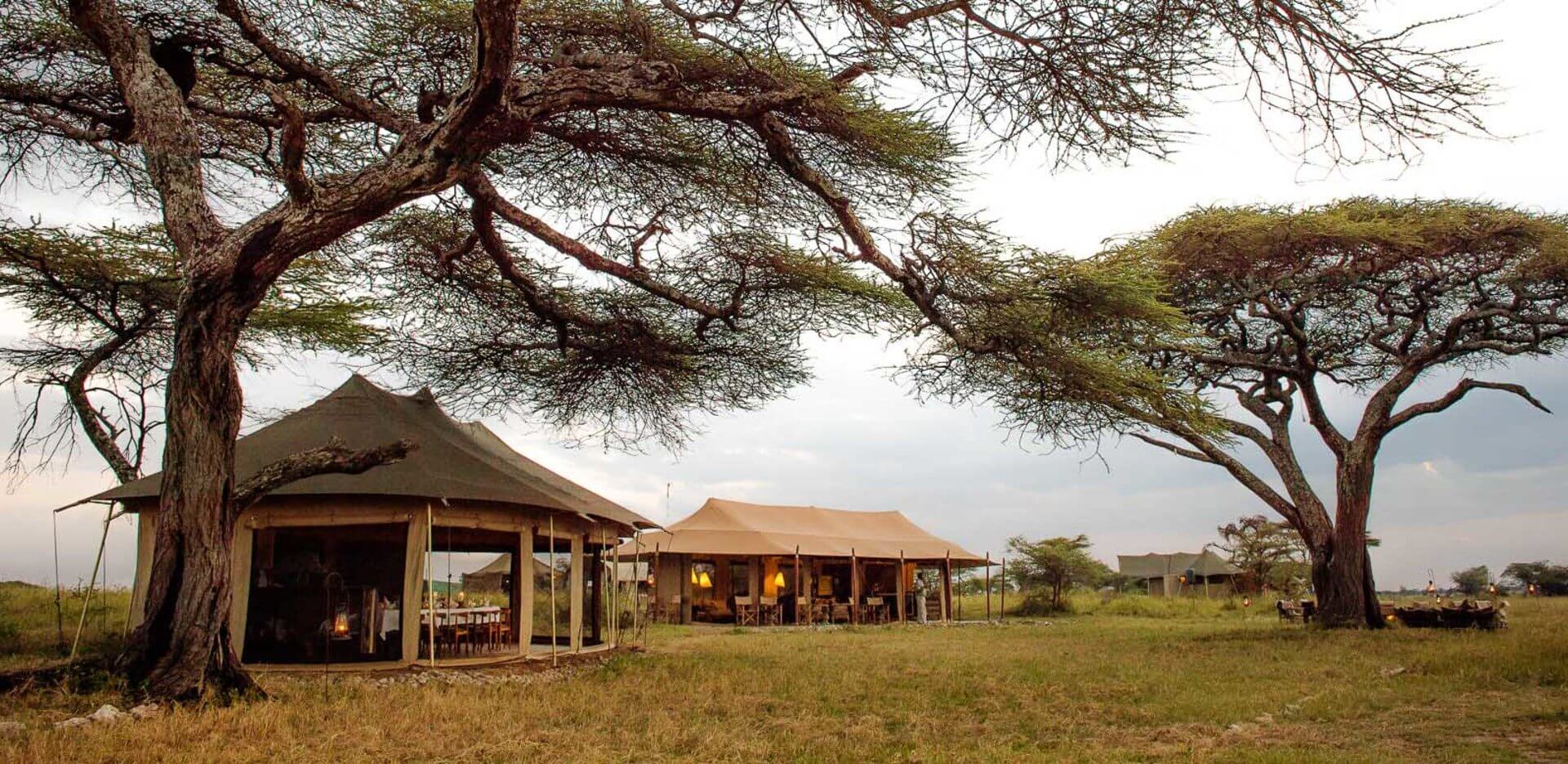 MID RANGE TANZANIA SAFARI