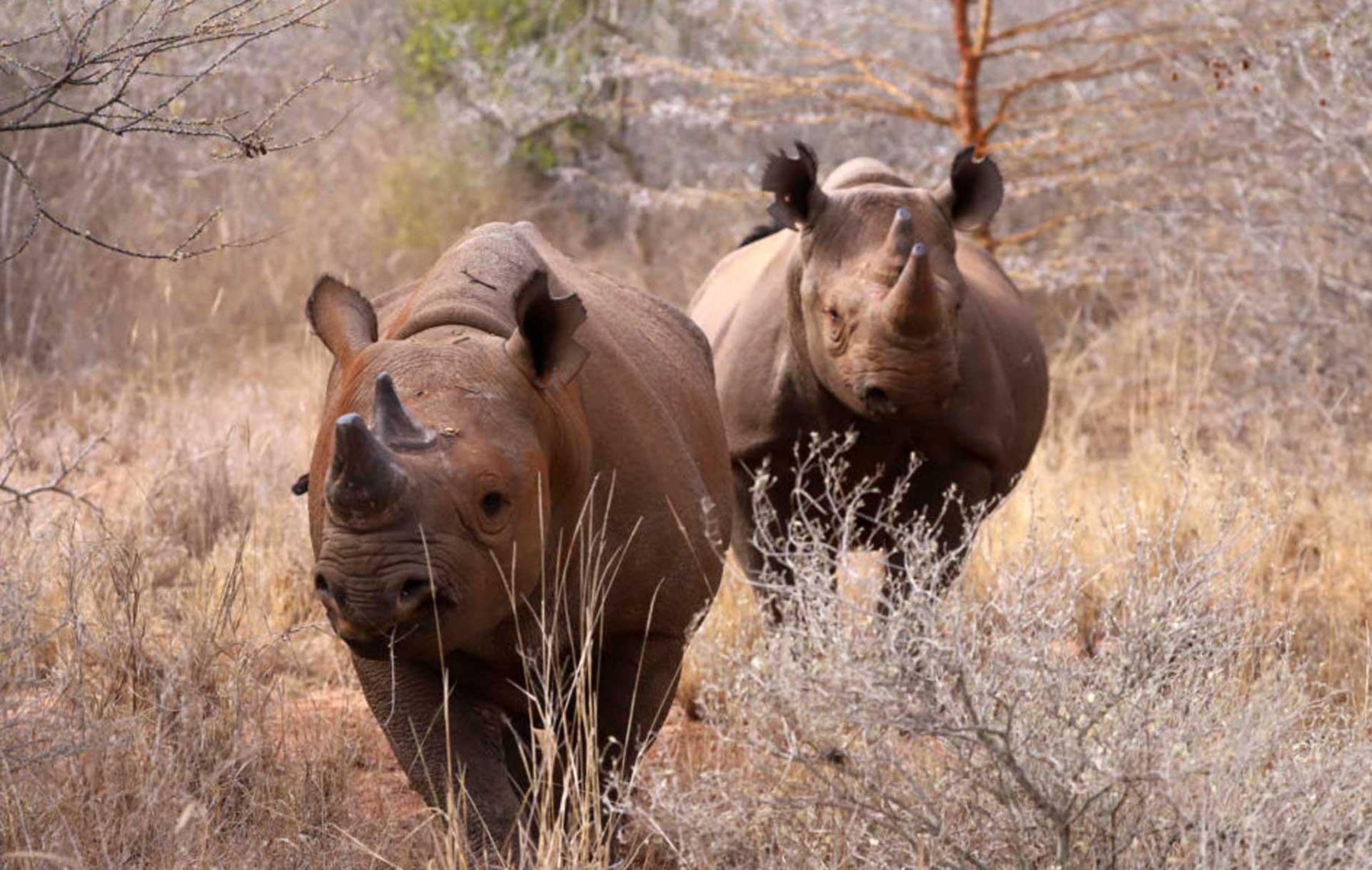 Mkomanzi National Park
