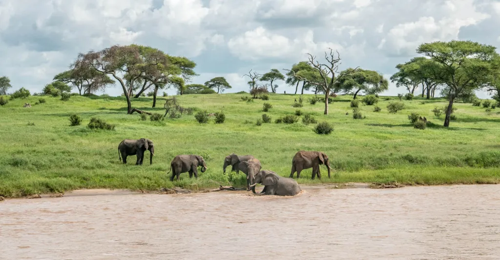 TARANGIRE NATIONAL PARK