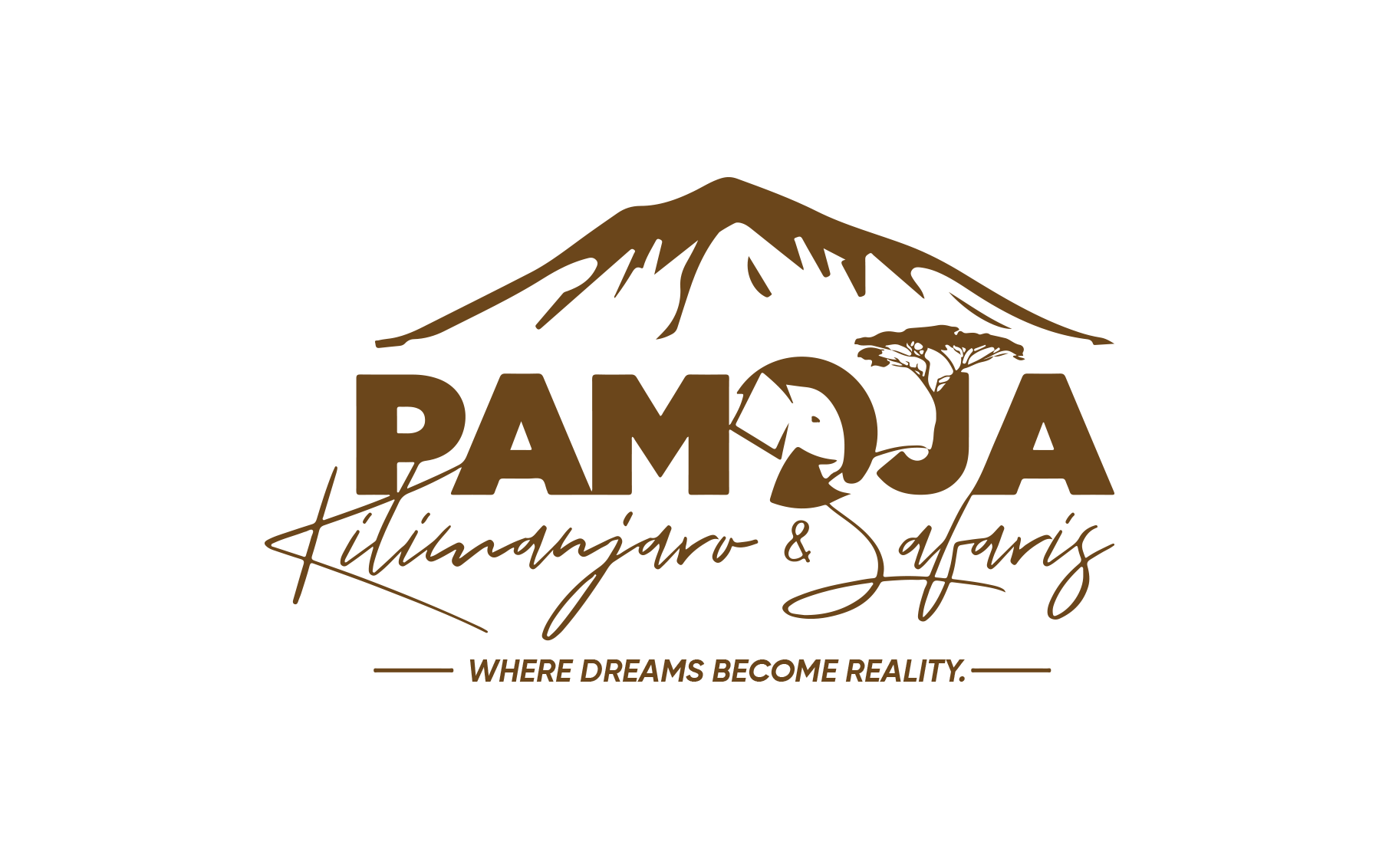 pamoja kilimanjaro and safari